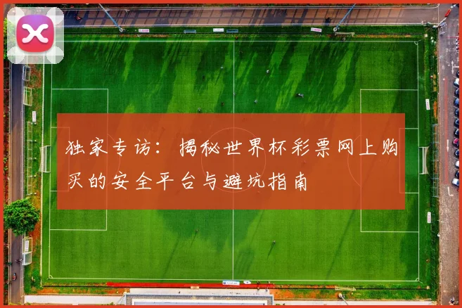 独家专访:揭秘世界杯彩票网上购买的安全平台与避坑指南