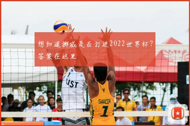 想知道挪威是否打进2022世界杯？答案在这里