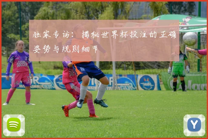 独家专访:揭秘世界杯投注的正确姿势与规则细节