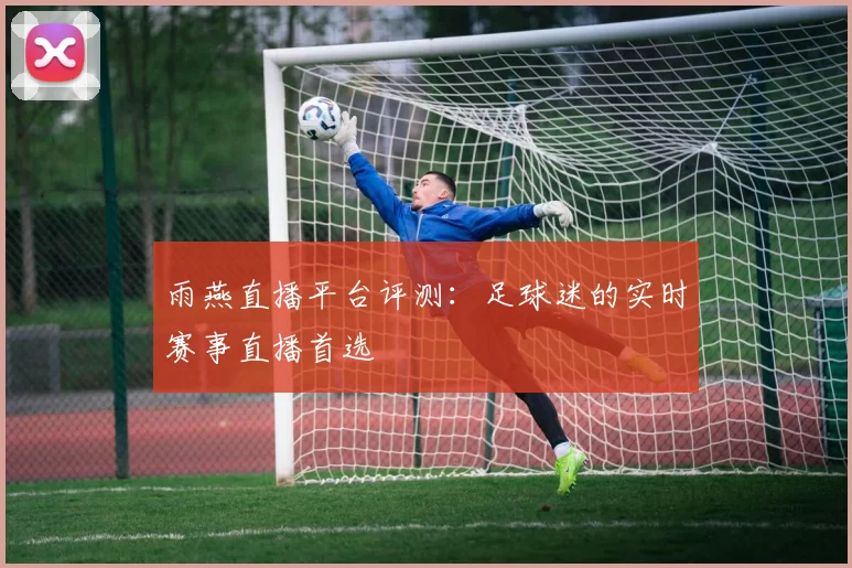 雨燕直播平台评测：足球迷的实时赛事直播首选