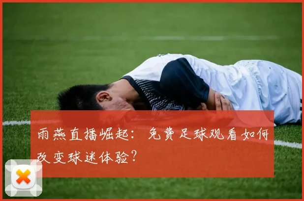 雨燕直播崛起：免费足球观看如何改变球迷体验？