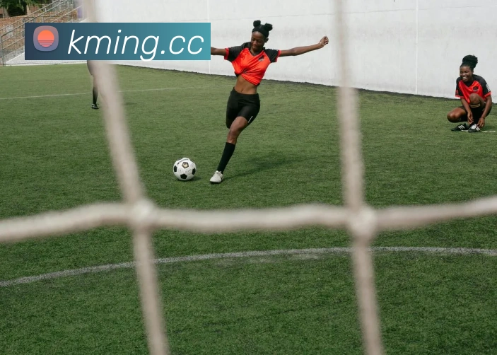 emc易倍官网入口APP 封面图